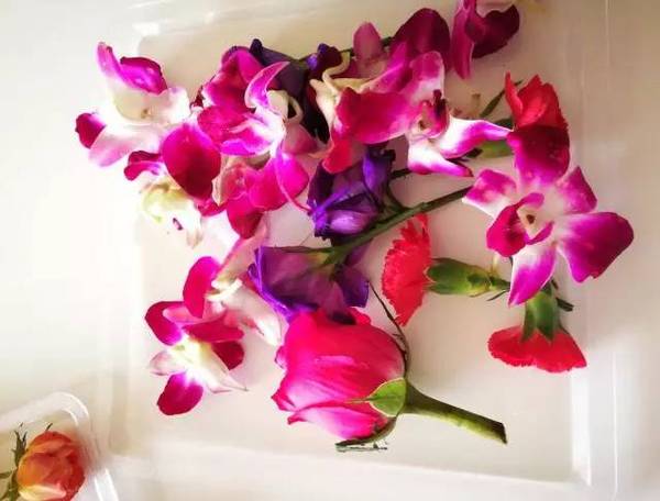 古老的草木拓印，留住植物最美的一刻