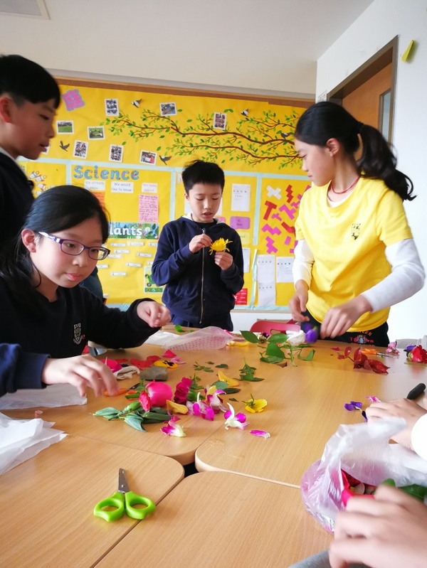 古老的草木拓印，留住植物最美的一刻