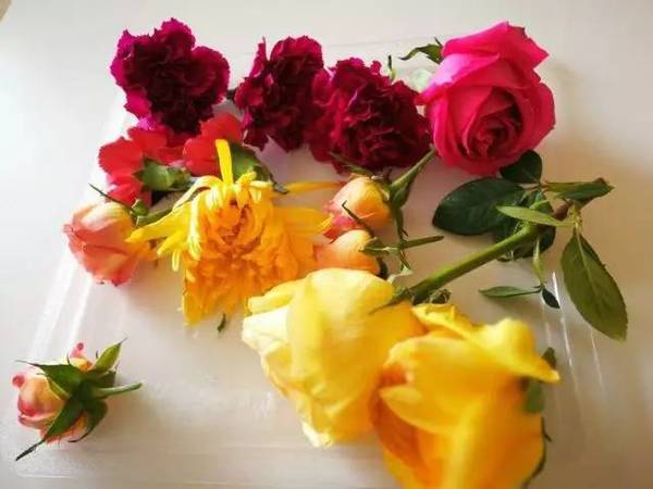 古老的草木拓印，留住植物最美的一刻