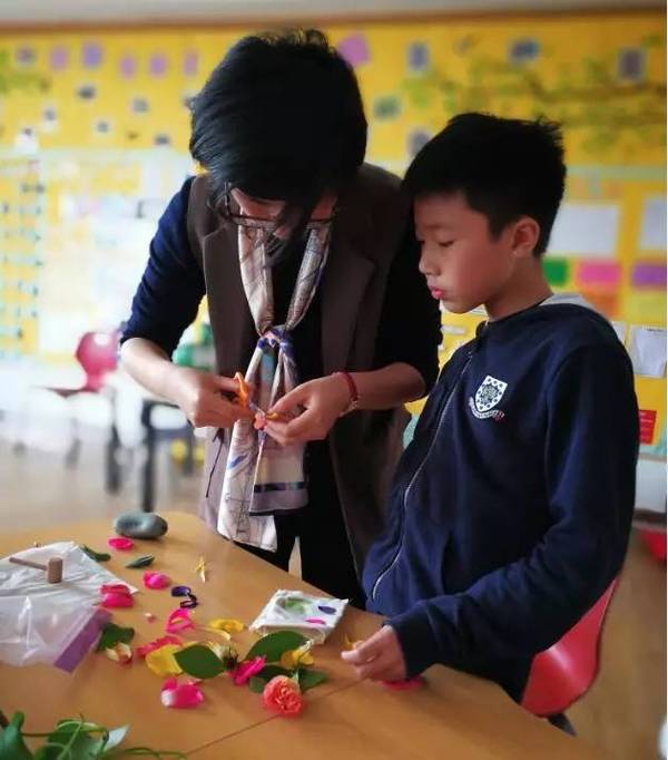 古老的草木拓印，留住植物最美的一刻