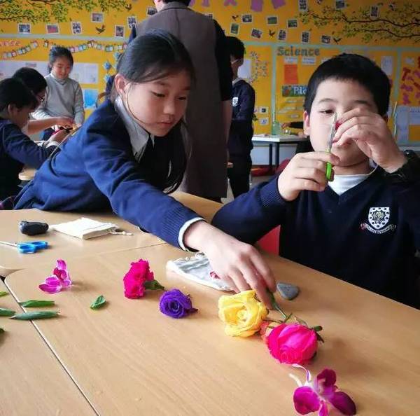 古老的草木拓印，留住植物最美的一刻