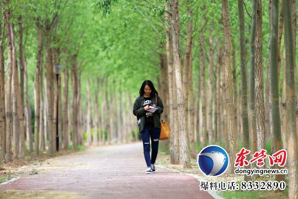 東營生態園林與城市公園建設掠影