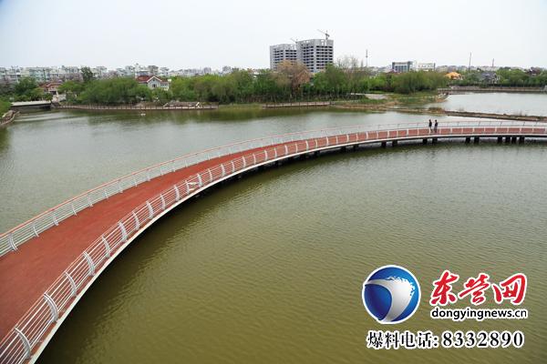 東營生態園林與城市公園建設掠影