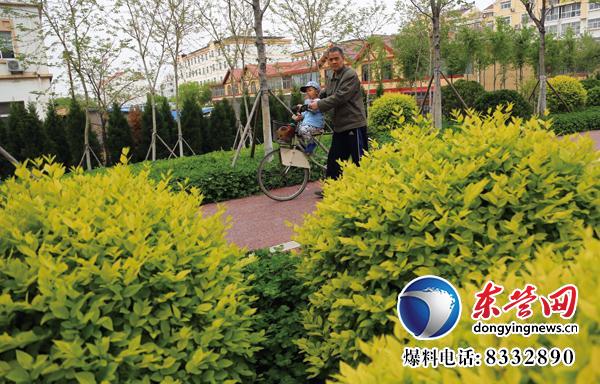 東營生態園林與城市公園建設掠影