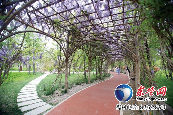 東營生態園林與城市公園建設掠影