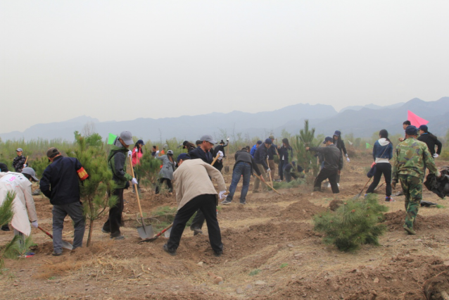 森源達積極參與中央國家機關單位義務植樹活動
