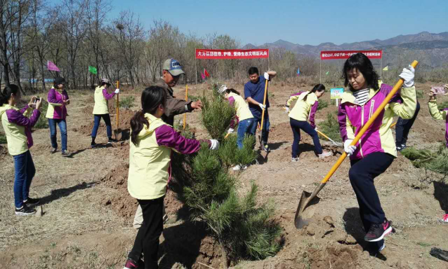 森源達積極參與中央國家機關單位義務植樹活動