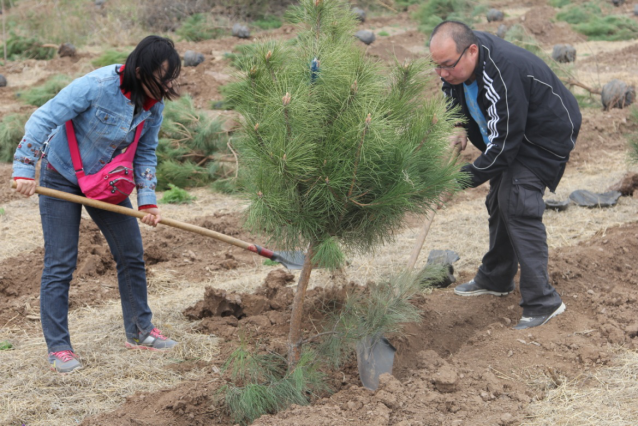 森源達積極參與中央國家機關單位義務植樹活動