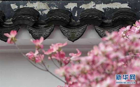 在紐約寄興園體驗(yàn)中國園林之美