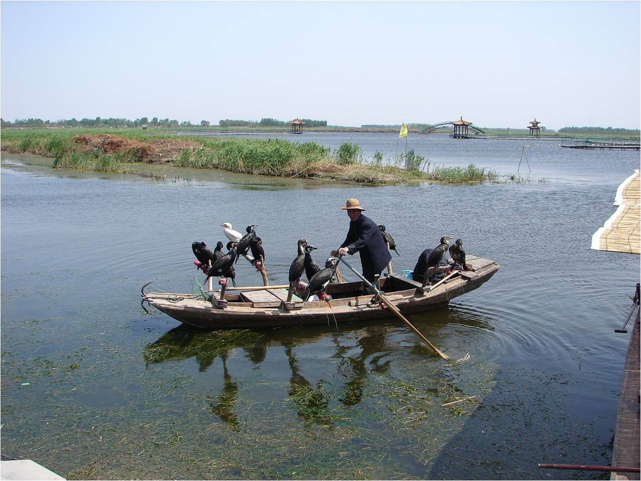 國際優秀設計師作品交流會吳昊演講實錄