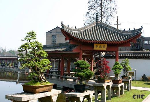 江陵盆景園：盆景與園林藝術為一體的公園