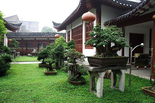 江陵盆景園：盆景與園林藝術為一體的公園