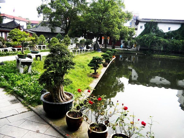 江陵盆景園：盆景與園林藝術為一體的公園