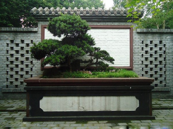 江陵盆景園：盆景與園林藝術為一體的公園