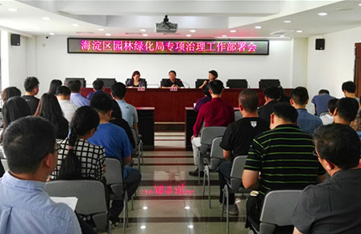 海淀區園林綠化局部署專項治理工作