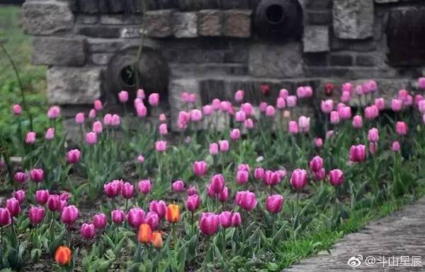 無錫這些秘密的私家花園
