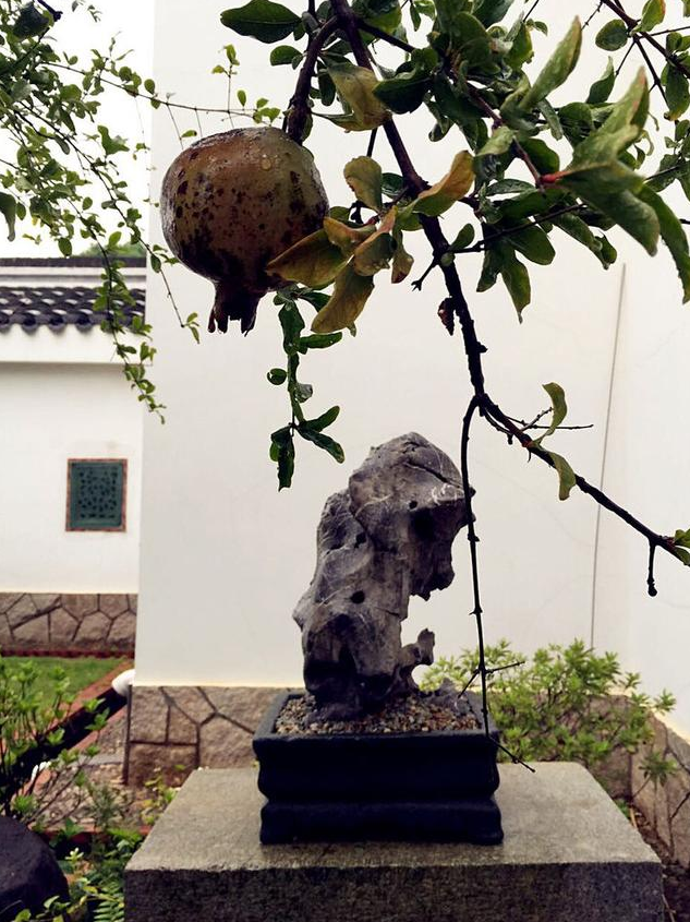 福建泉州閩中私家文化名園——錦園