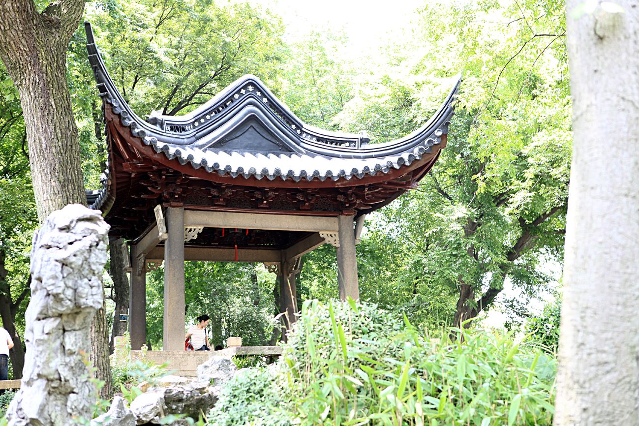 中國(guó)南方古典園林的典型代表:蘇州園林