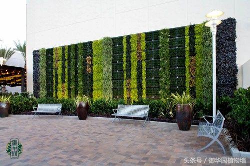 令人傾倒的“瀑布式”植物墻