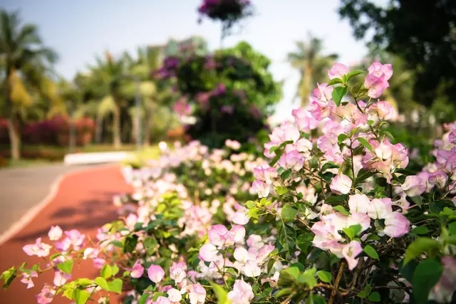 景觀助力一帶一路,笛東獻策盛世華章