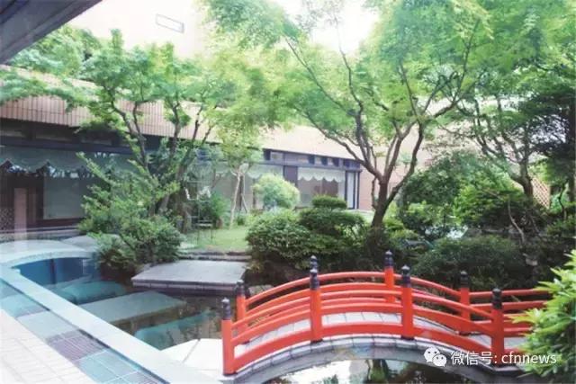 屋頂綠化需要綜合考量多種因素