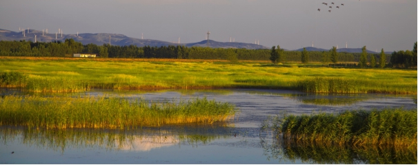 東方園林PPP模式案例分析
