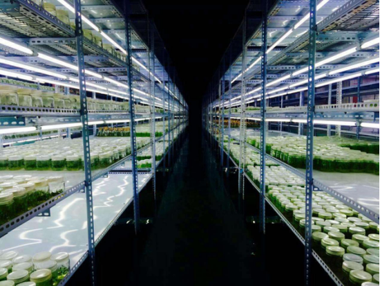 中國青少年將首次參與聯(lián)合國生態(tài)系統(tǒng)研究