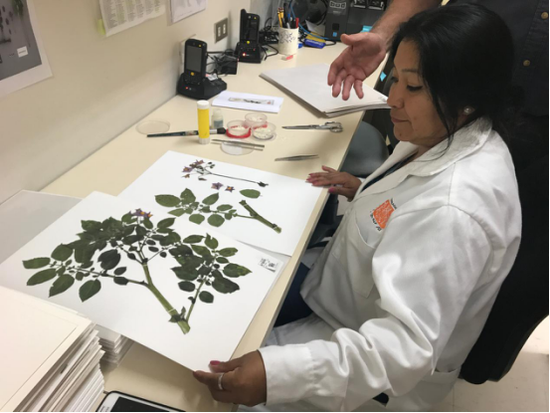 中國青少年將首次參與聯(lián)合國生態(tài)系統(tǒng)研究