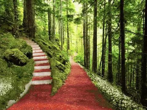 Parkorman：一個充滿未來感與愛的森林公園