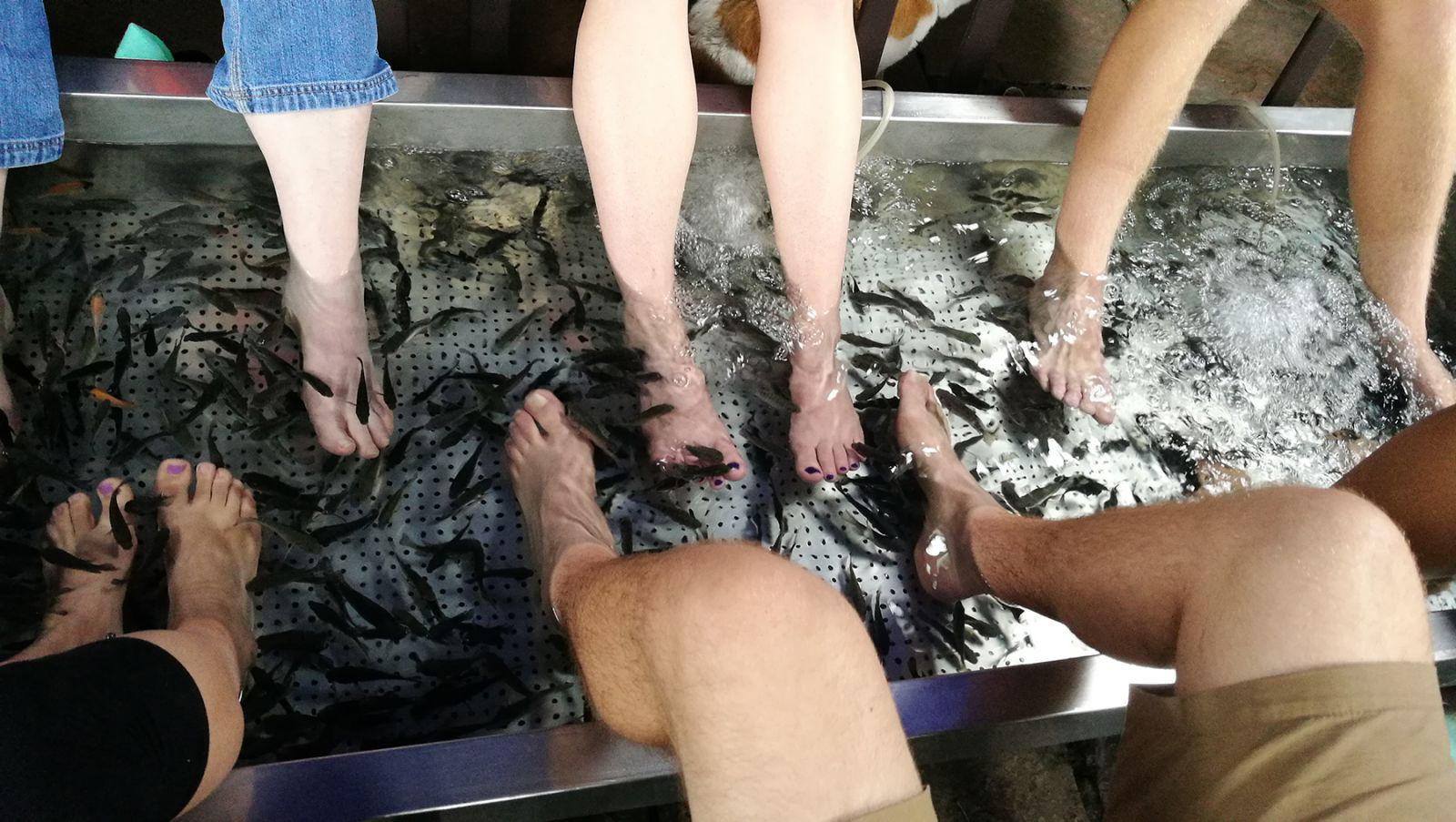 奧克拉荷馬州立大學(xué)景觀專(zhuān)業(yè)學(xué)生來(lái)華交流5