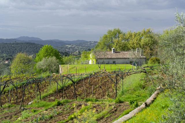 “消失”在景觀中的空間:法國SPE住宅