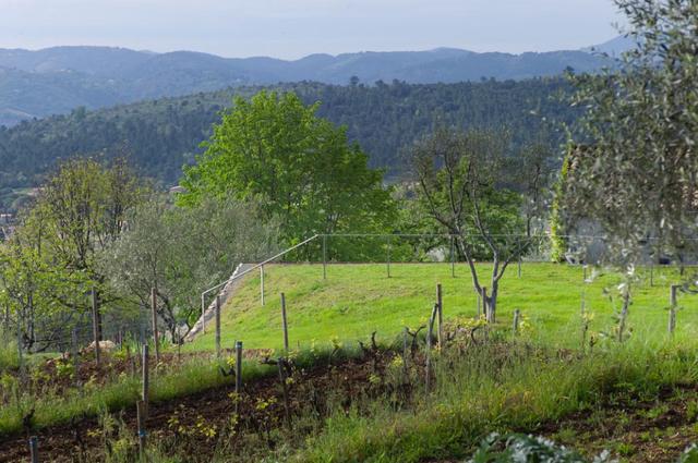 “消失”在景觀中的空間:法國SPE住宅