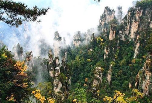 國內(nèi)最美的森林公園你去過幾個?