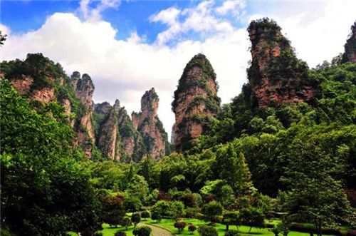 國內(nèi)最美的森林公園你去過幾個?