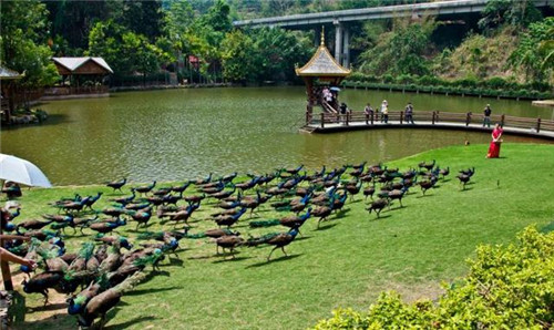 國內(nèi)最美的森林公園你去過幾個?