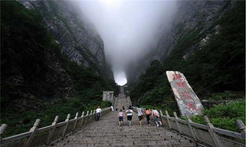 國內(nèi)最美的森林公園你去過幾個?