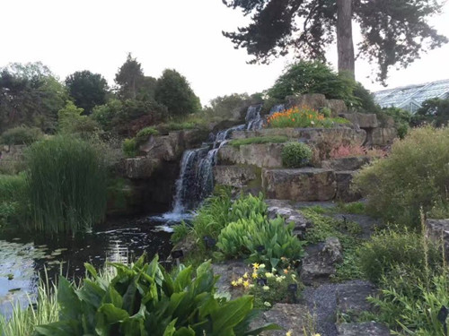 2017英國景觀專業(yè)考察交流Day2:徜徉植物世界