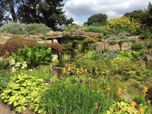 2017英國景觀專業(yè)考察交流Day2:徜徉植物世界