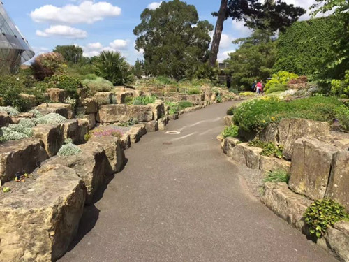 2017英國景觀專業(yè)考察交流Day2:徜徉植物世界