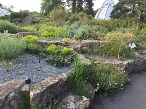 2017英國景觀專業(yè)考察交流Day2:徜徉植物世界