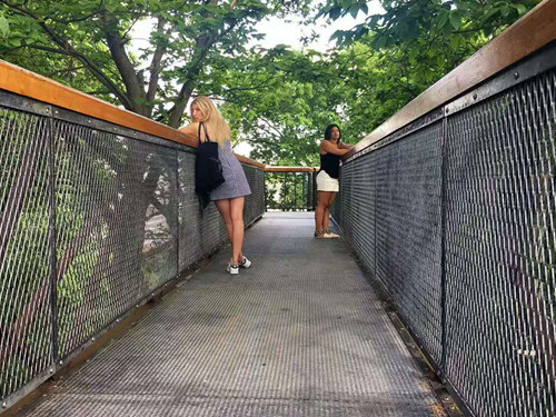 2017英國景觀專業(yè)考察交流Day2:徜徉植物世界