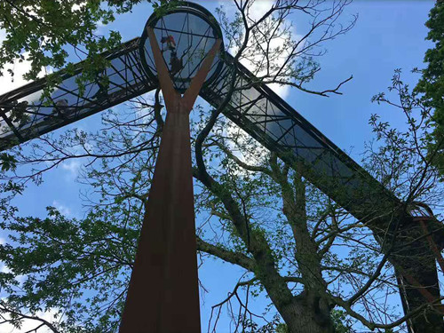 2017英國景觀專業(yè)考察交流Day2:徜徉植物世界