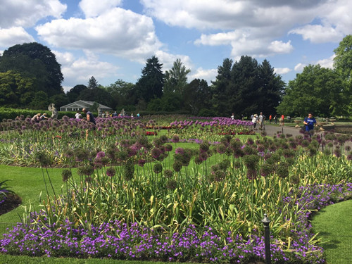2017英國(guó)景觀專業(yè)考察交流Day2：徜徉植物世界