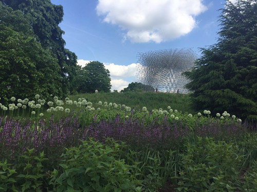 2017英國(guó)景觀專業(yè)考察交流Day2：徜徉植物世界