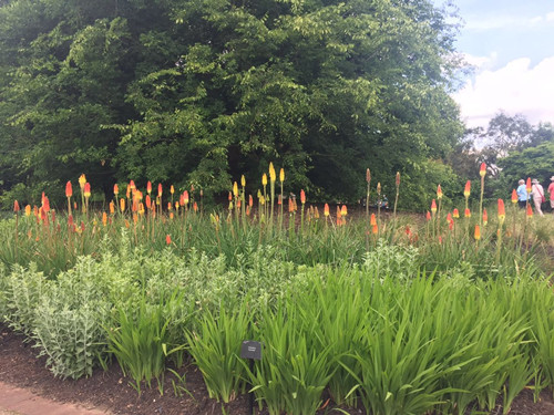 2017英國(guó)景觀專業(yè)考察交流Day2：徜徉植物世界