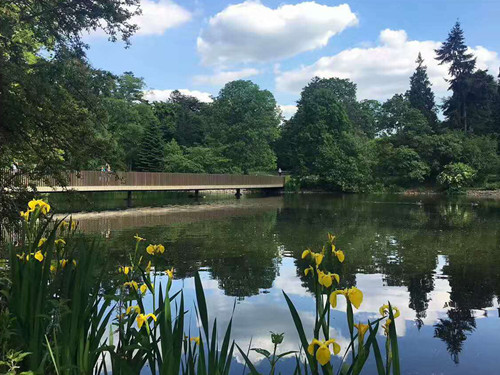 2017英國(guó)景觀專業(yè)考察交流Day2：徜徉植物世界