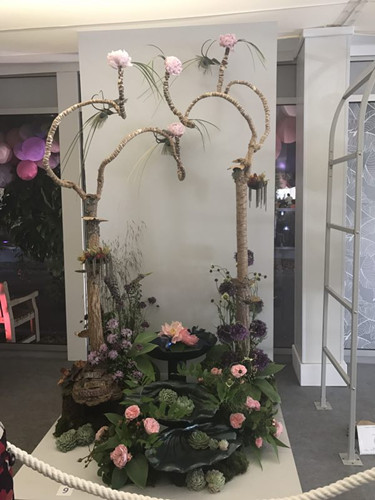 2017英國(guó)景觀專業(yè)考察Day3：切爾西花展