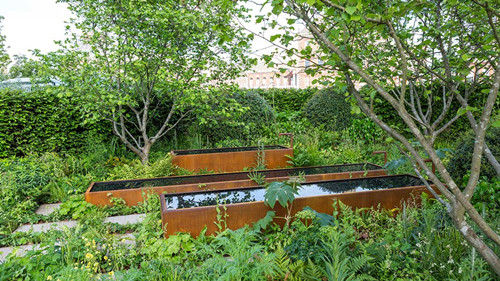 2017英國景觀專業考察Day3:切爾西花展