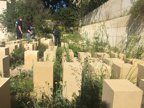 2017英國(guó)景觀專業(yè)考察Day3：切爾西花展