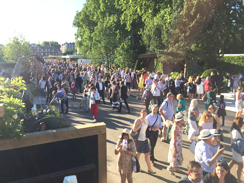 2017英國(guó)景觀專業(yè)考察Day3：切爾西花展